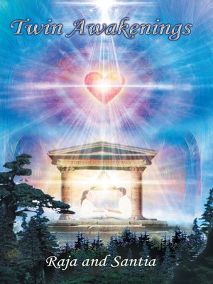 cover image of Twin Awakenings